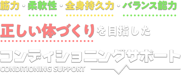 筋力・柔軟性・全身持久力・バランス能力 正しい体づくりを目指したコンディショニングサポート